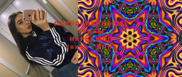 мяу мяу мука Абаза